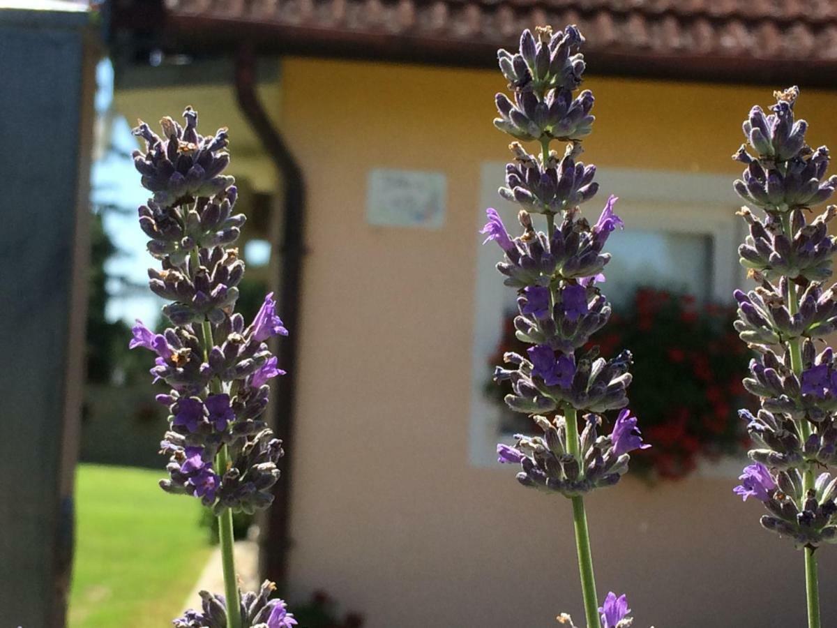 Liliána apartman Balatonberény Kültér fotó